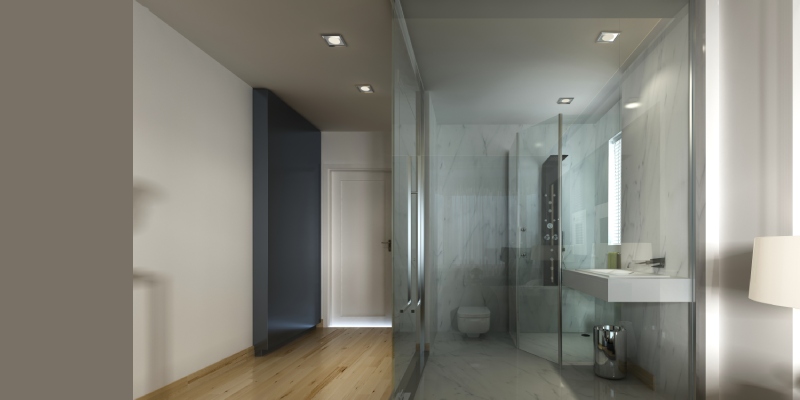 Switchable Privacy Glass for Shower